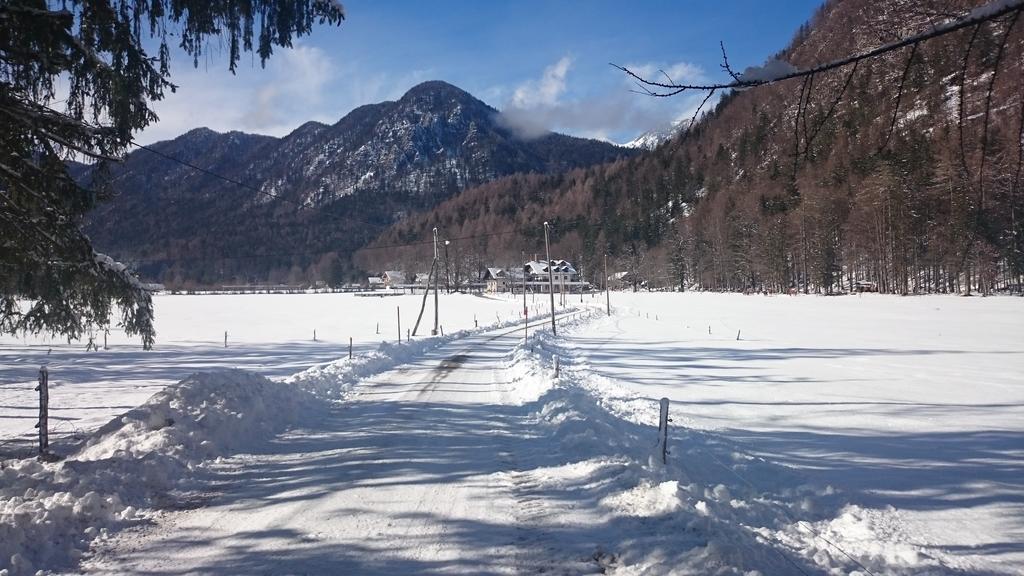 Turisticna Kmetija Psnak Apartment Mojstrana Ngoại thất bức ảnh