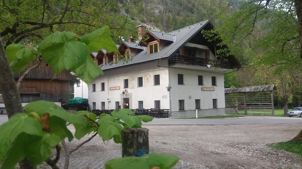Turisticna Kmetija Psnak Apartment Mojstrana Ngoại thất bức ảnh